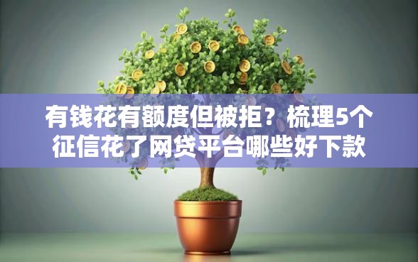 有钱花有额度但被拒？梳理5个征信花了网贷平台哪些好下款