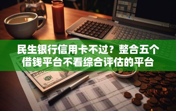 民生银行信用卡不过？整合五个借钱平台不看综合评估的平台
