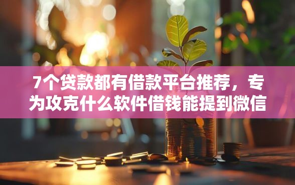7个贷款都有借款平台推荐，专为攻克什么软件借钱能提到微信难题