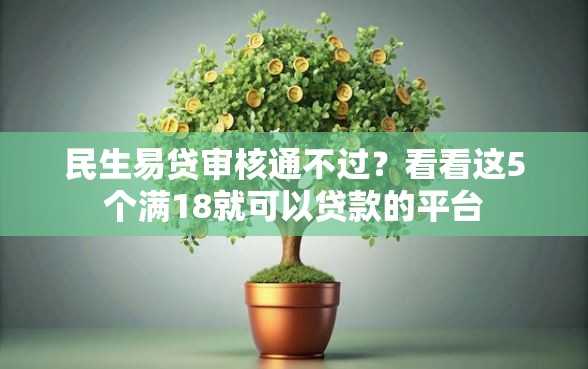 民生易贷审核通不过？看看这5个满18就可以贷款的平台