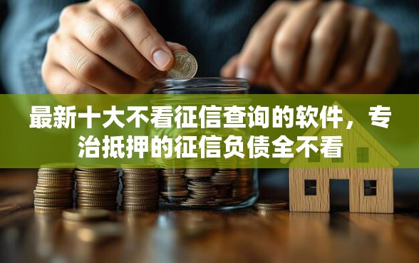 最新十大不看征信查询的软件，专治抵押的征信负债全不看