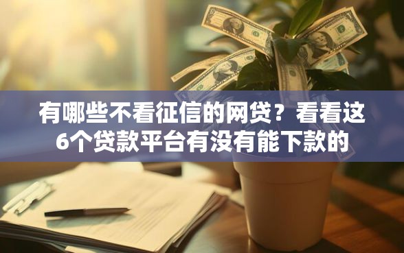 有哪些不看征信的网贷？看看这6个贷款平台有没有能下款的