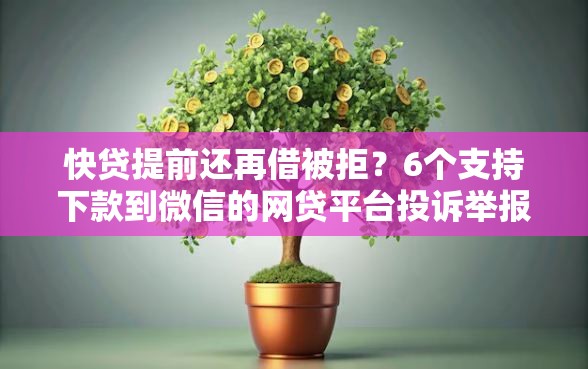 快贷提前还再借被拒？6个支持下款到微信的网贷平台投诉举报电话