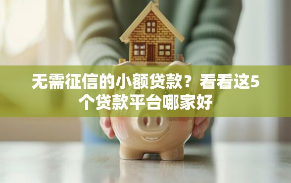 无需征信的小额贷款？看看这5个贷款平台哪家好
