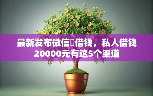 最新发布微信柆借钱，私人借钱20000元有这5个渠道
