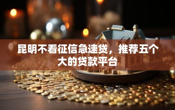 昆明不看征信急速贷，推荐五个大的贷款平台