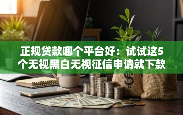 正规贷款哪个平台好：试试这5个无视黑白无视征信申请就下款的平台