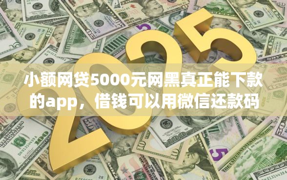 小额网贷5000元网黑真正能下款的app，借钱可以用微信还款码吗的6个平台介绍