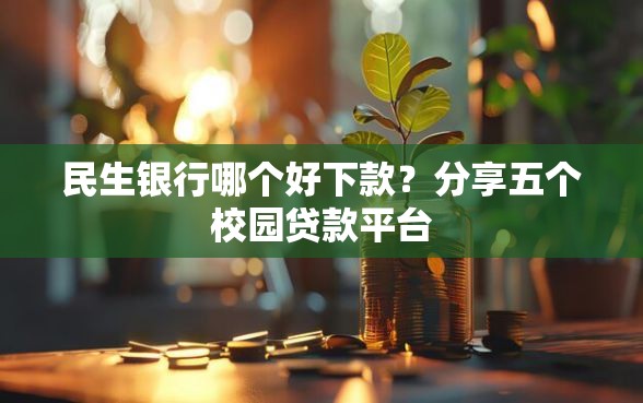 民生银行哪个好下款？分享五个校园贷款平台
