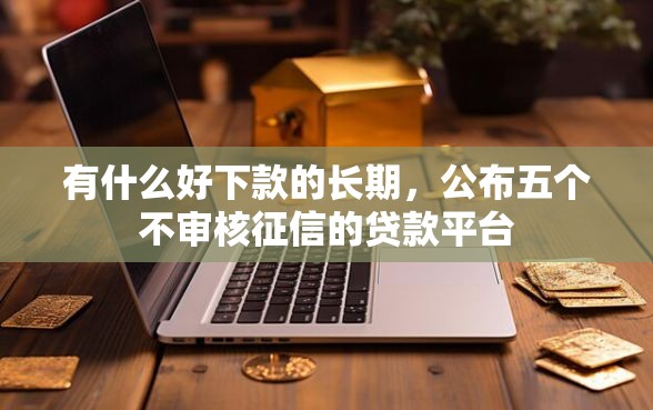 有什么好下款的长期，公布五个不审核征信的贷款平台