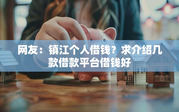 网友：镇江个人借钱？求介绍几款借款平台借钱好