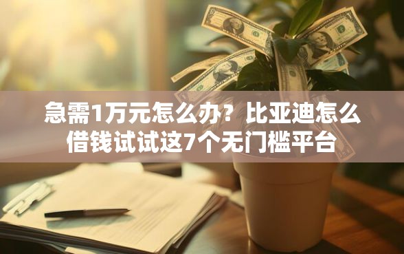 急需1万元怎么办？比亚迪怎么借钱试试这7个无门槛平台