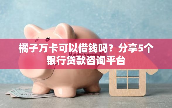 橘子万卡可以借钱吗？分享5个银行贷款咨询平台