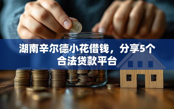 湖南辛尔德小花借钱，分享5个合法贷款平台