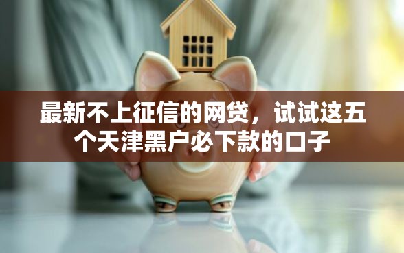 最新不上征信的网贷，试试这五个天津黑户必下款的口子