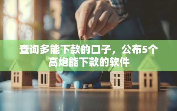 查询多能下款的口子，公布5个高炮能下款的软件