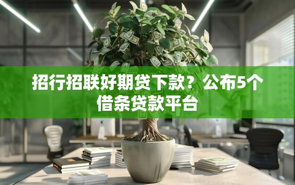 招行招联好期贷下款？公布5个借条贷款平台