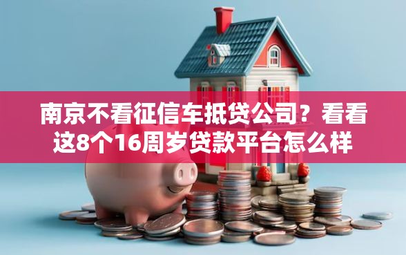 南京不看征信车抵贷公司？看看这8个16周岁贷款平台怎么样