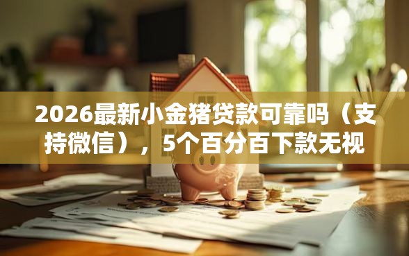 2026最新小金猪贷款可靠吗（支持微信），5个百分百下款无视黑白户网贷无私分享
