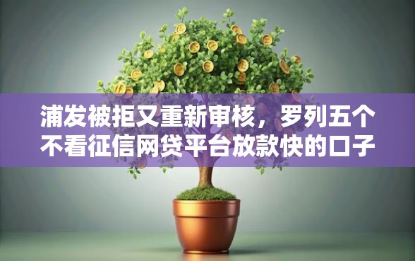 浦发被拒又重新审核，罗列五个不看征信网贷平台放款快的口子