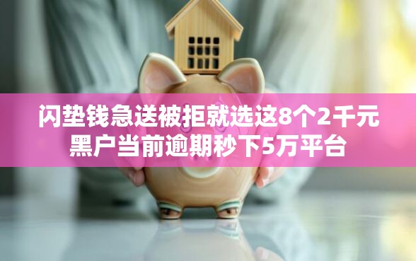闪垫钱急送被拒就选这8个2千元黑户当前逾期秒下5万平台