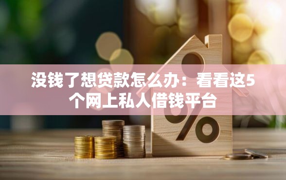 没钱了想贷款怎么办：看看这5个网上私人借钱平台