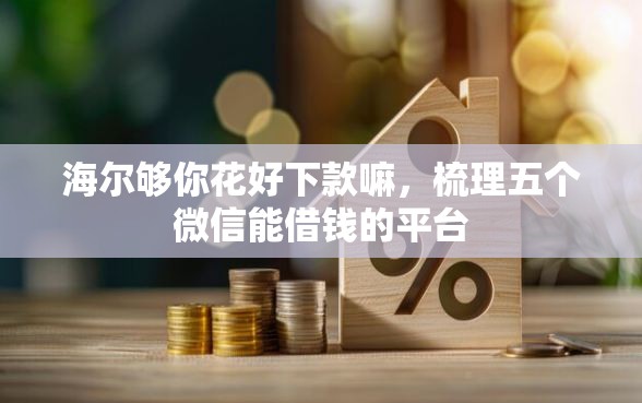 海尔够你花好下款嘛，梳理五个微信能借钱的平台