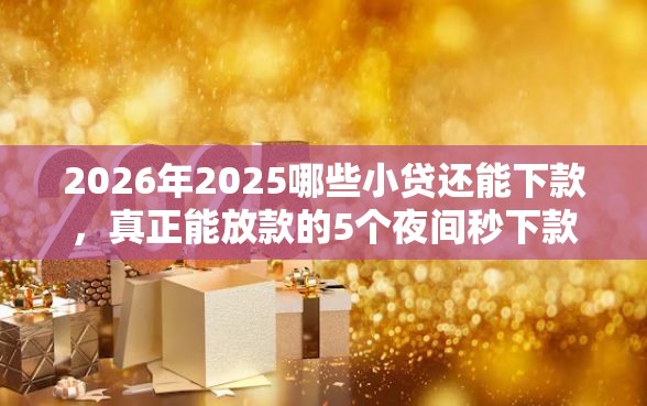 2026年2025哪些小贷还能下款，真正能放款的5个夜间秒下款的高炮口子推荐