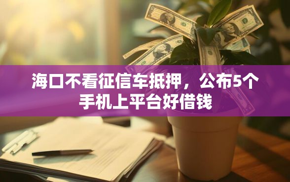 海口不看征信车抵押，公布5个手机上平台好借钱