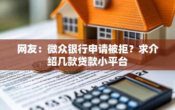 网友：微众银行申请被拒？求介绍几款贷款小平台