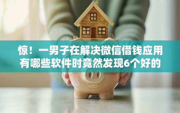 惊！一男子在解决微信借钱应用有哪些软件时竟然发现6个好的贷款平台，事后分享了出来