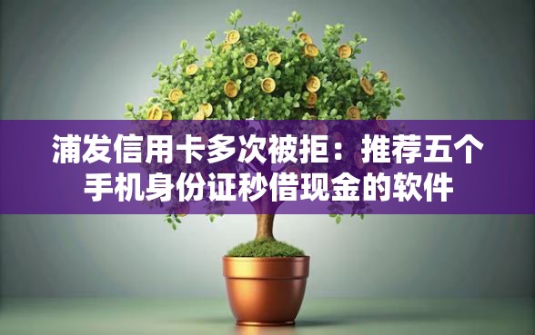 浦发信用卡多次被拒：推荐五个手机身份证秒借现金的软件