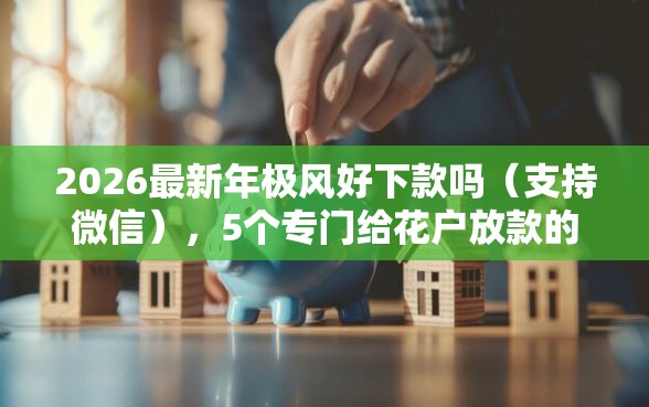 2026最新年极风好下款吗（支持微信），5个专门给花户放款的平台无私分享