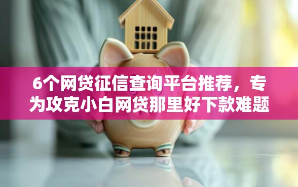 6个网贷征信查询平台推荐，专为攻克小白网贷那里好下款难题