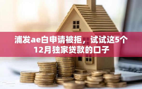 浦发ae白申请被拒，试试这5个12月独家贷款的口子
