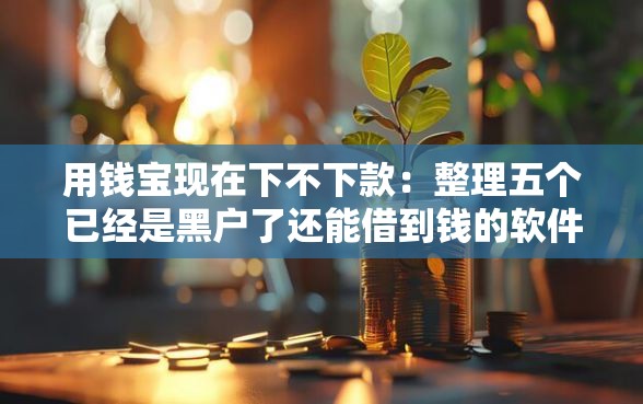 用钱宝现在下不下款：整理五个已经是黑户了还能借到钱的软件