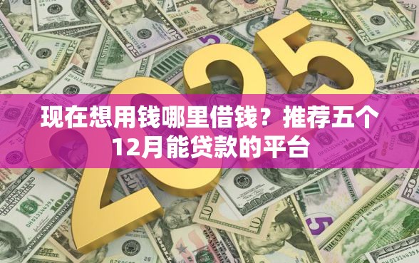 现在想用钱哪里借钱？推荐五个12月能贷款的平台