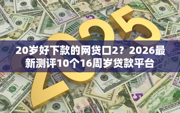 20岁好下款的网贷口2？2026最新测评10个16周岁贷款平台