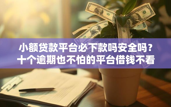 小额贷款平台必下款吗安全吗?十个逾期也不怕的平台借钱不看征信好下款的 小额贷款平台必下款吗安全吗?十个逾期也不怕的平台借钱不看征信好下款的
