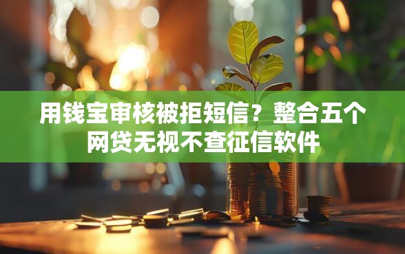 用钱宝审核被拒短信？整合五个网贷无视不查征信软件
