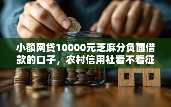 小额网贷10000元芝麻分负面借款的口子，农村信用社看不看征信的5个平台介绍