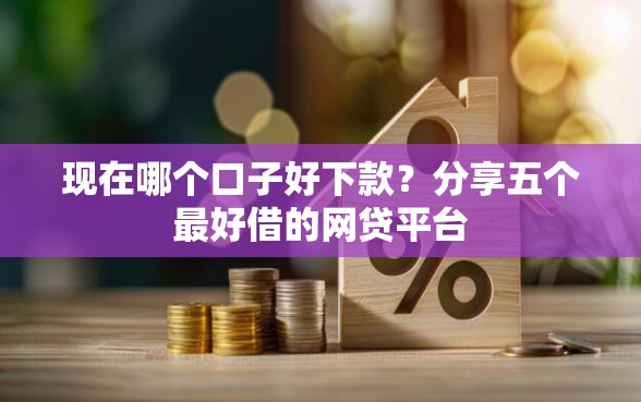 现在哪个口子好下款？分享五个最好借的网贷平台