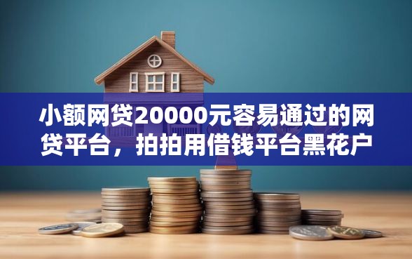 小额网贷20000元容易通过的网贷平台，拍拍用借钱平台黑花户能百分百下款吗的5个平台介绍
