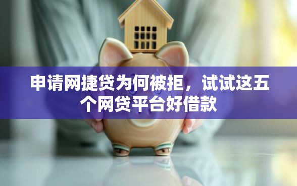 申请网捷贷为何被拒，试试这五个网贷平台好借款