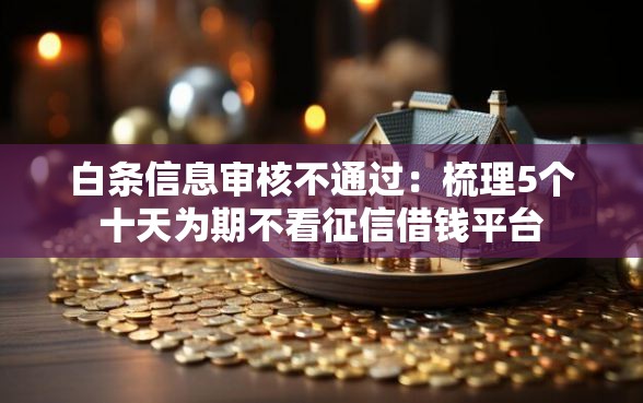 白条信息审核不通过：梳理5个十天为期不看征信借钱平台