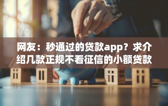 网友：秒通过的贷款app？求介绍几款正规不看征信的小额贷款软件