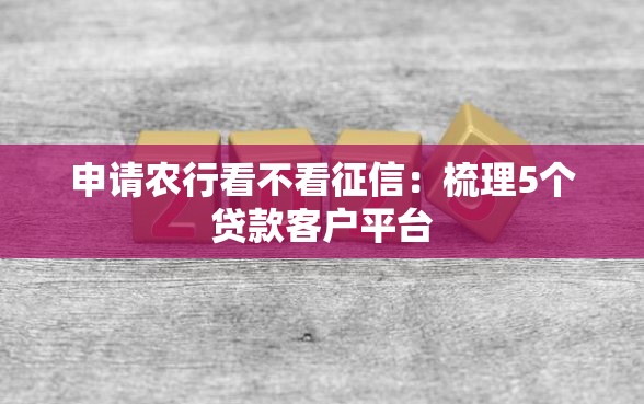 申请农行看不看征信：梳理5个贷款客户平台