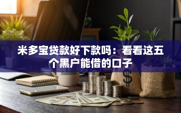 米多宝贷款好下款吗：看看这五个黑户能借的口子