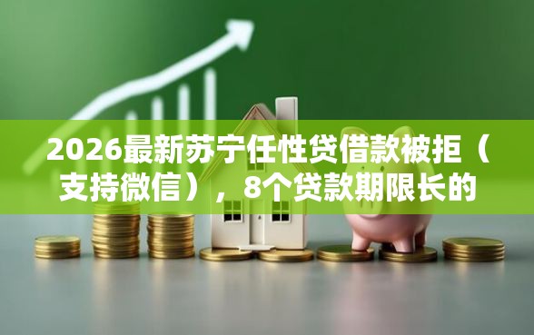 2026最新苏宁任性贷借款被拒(支持微信),8个贷款期限长的平台无私分享 2026最新苏宁任性贷借款被拒(支持微信),8个贷款期限长的平台无私分享