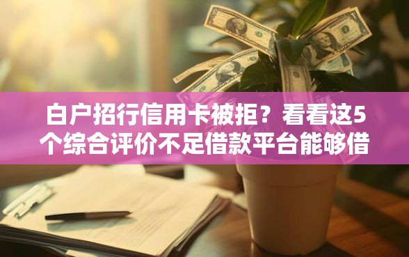白户招行信用卡被拒？看看这5个综合评价不足借款平台能够借到钱
